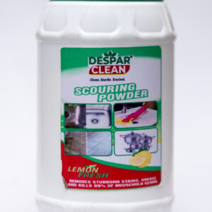 Scouring powder